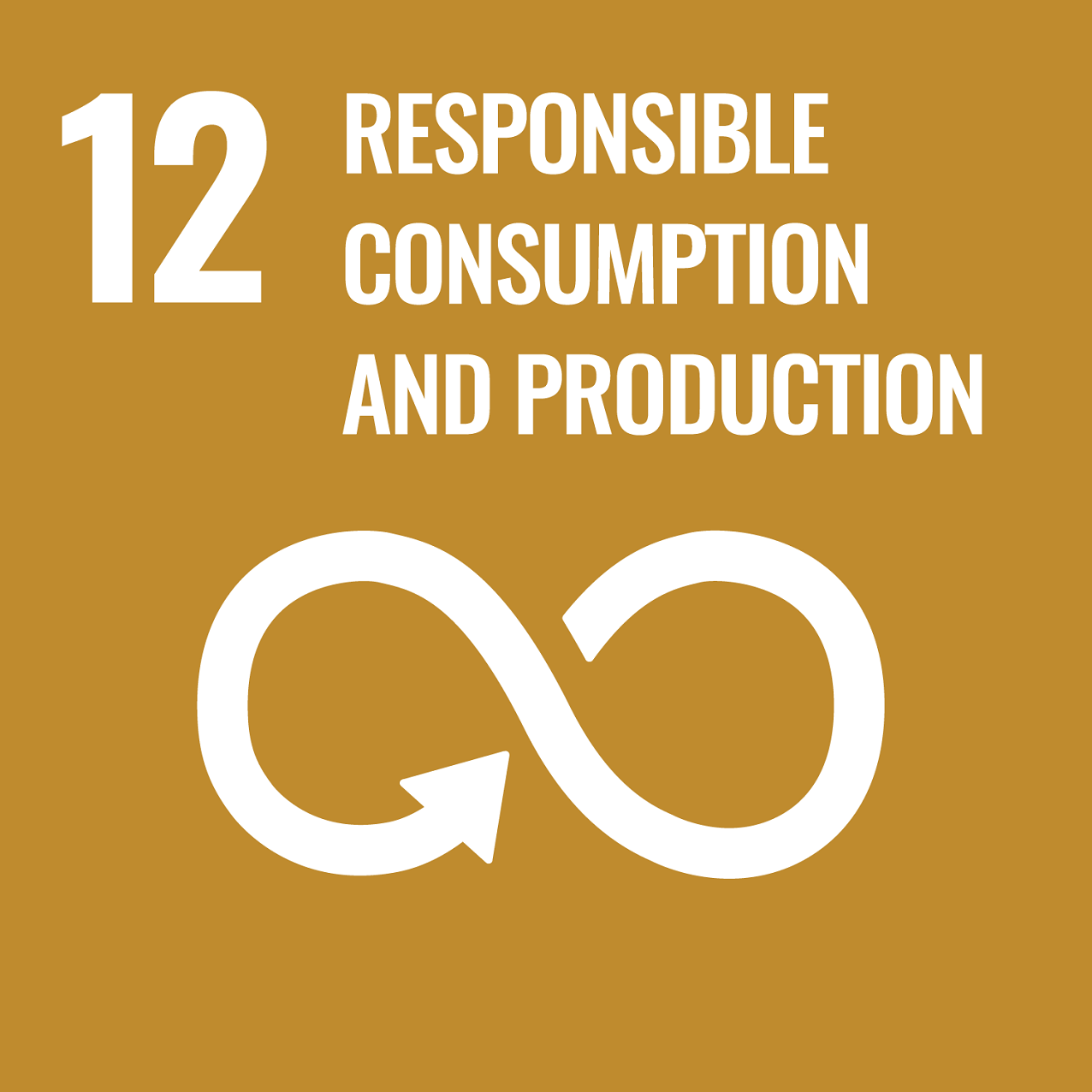 12 RESPONSIBE CONSUMPTION AND PRODUCTION