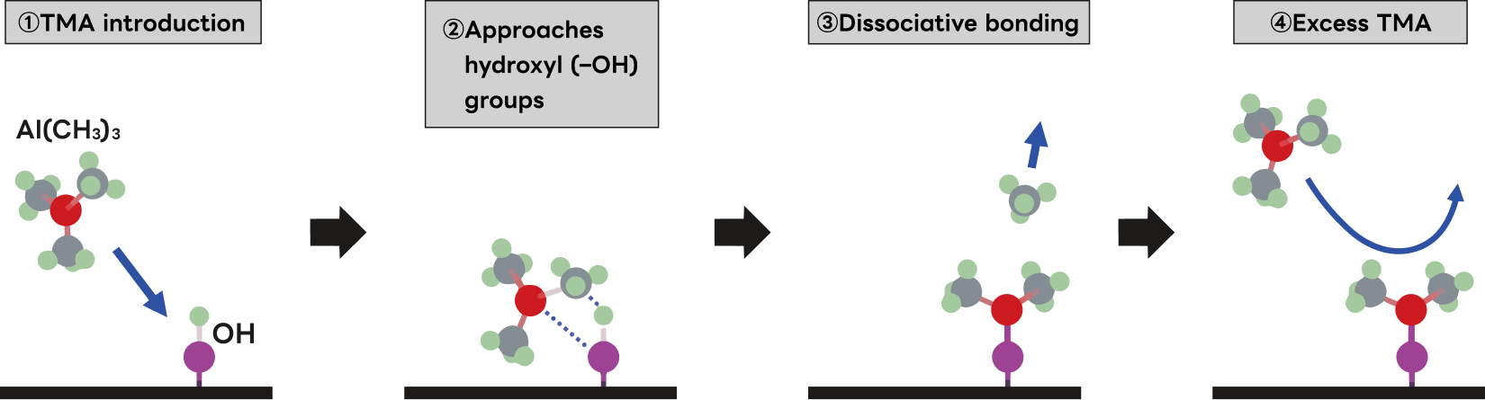 Film Formation Principle: Self-Limiting