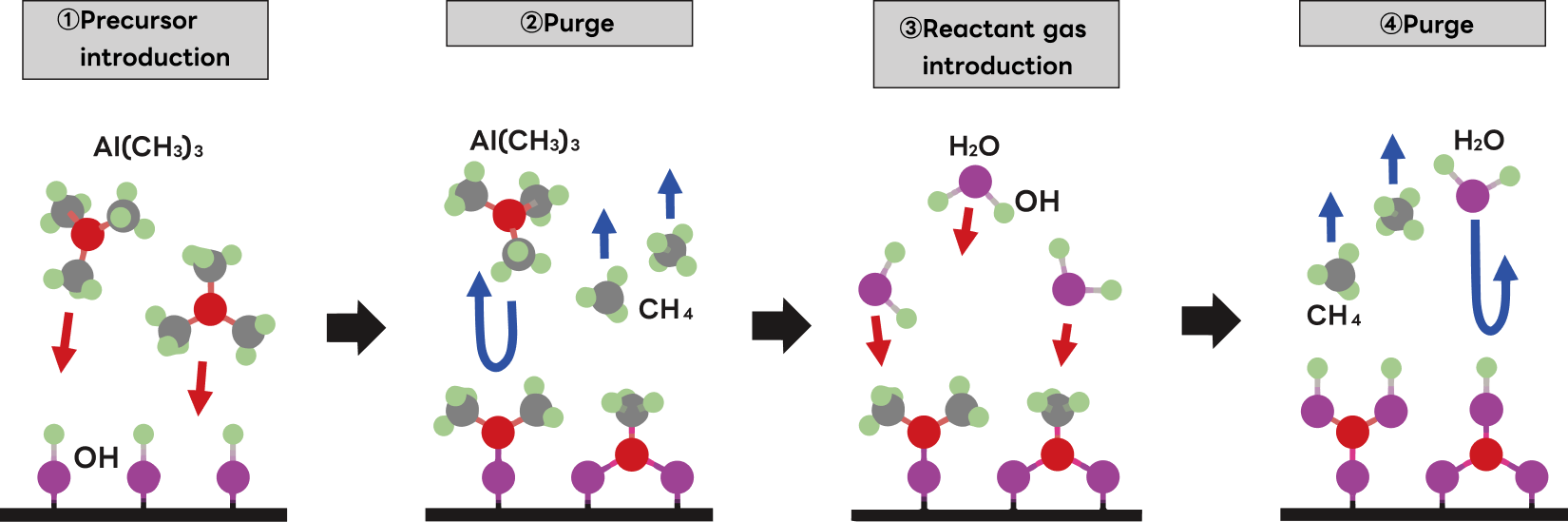 Film Formation Process: Pulse (Digital) Growth